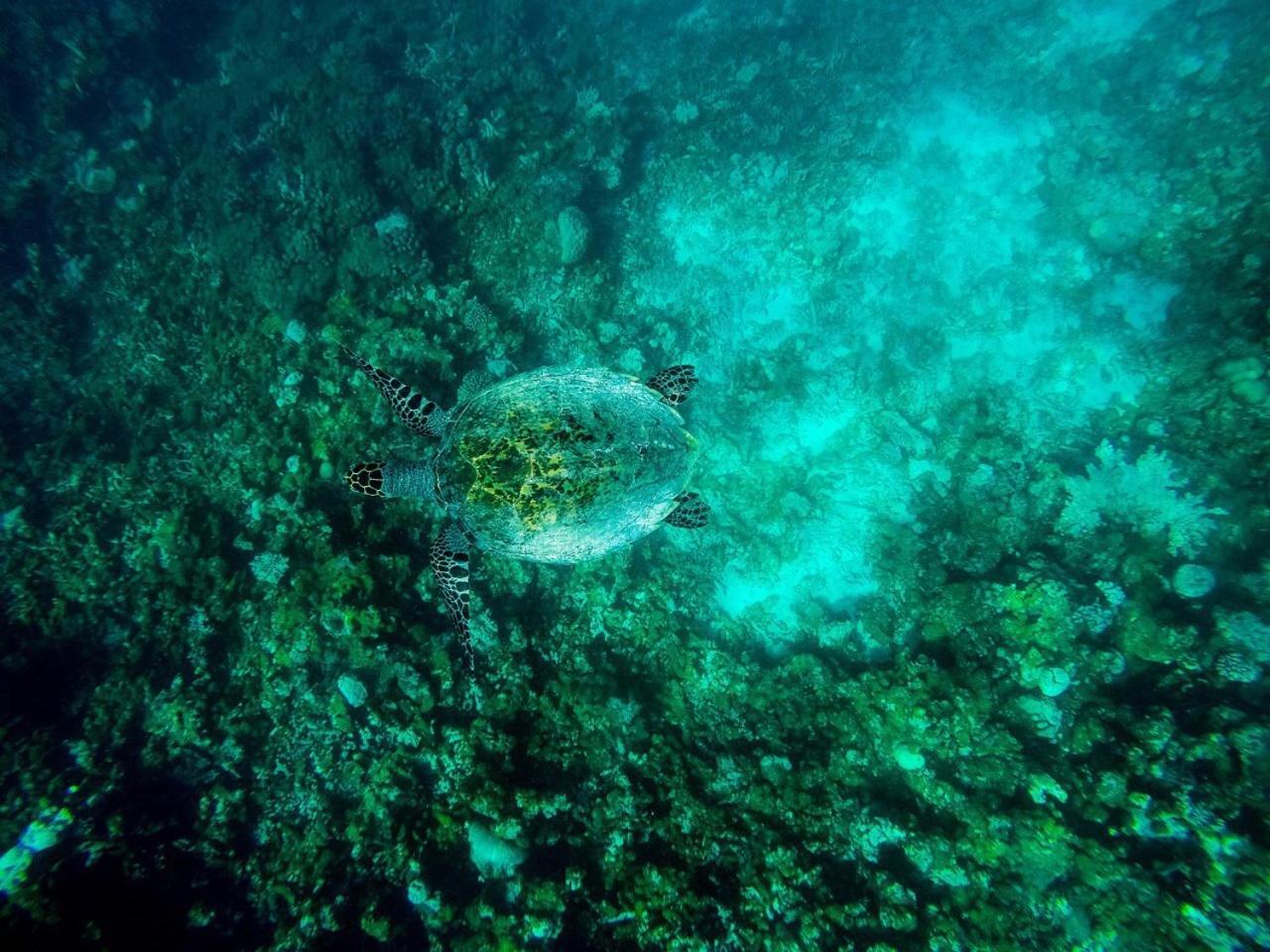 Old Town Inn Maldives Gaafaru Zewnętrze zdjęcie