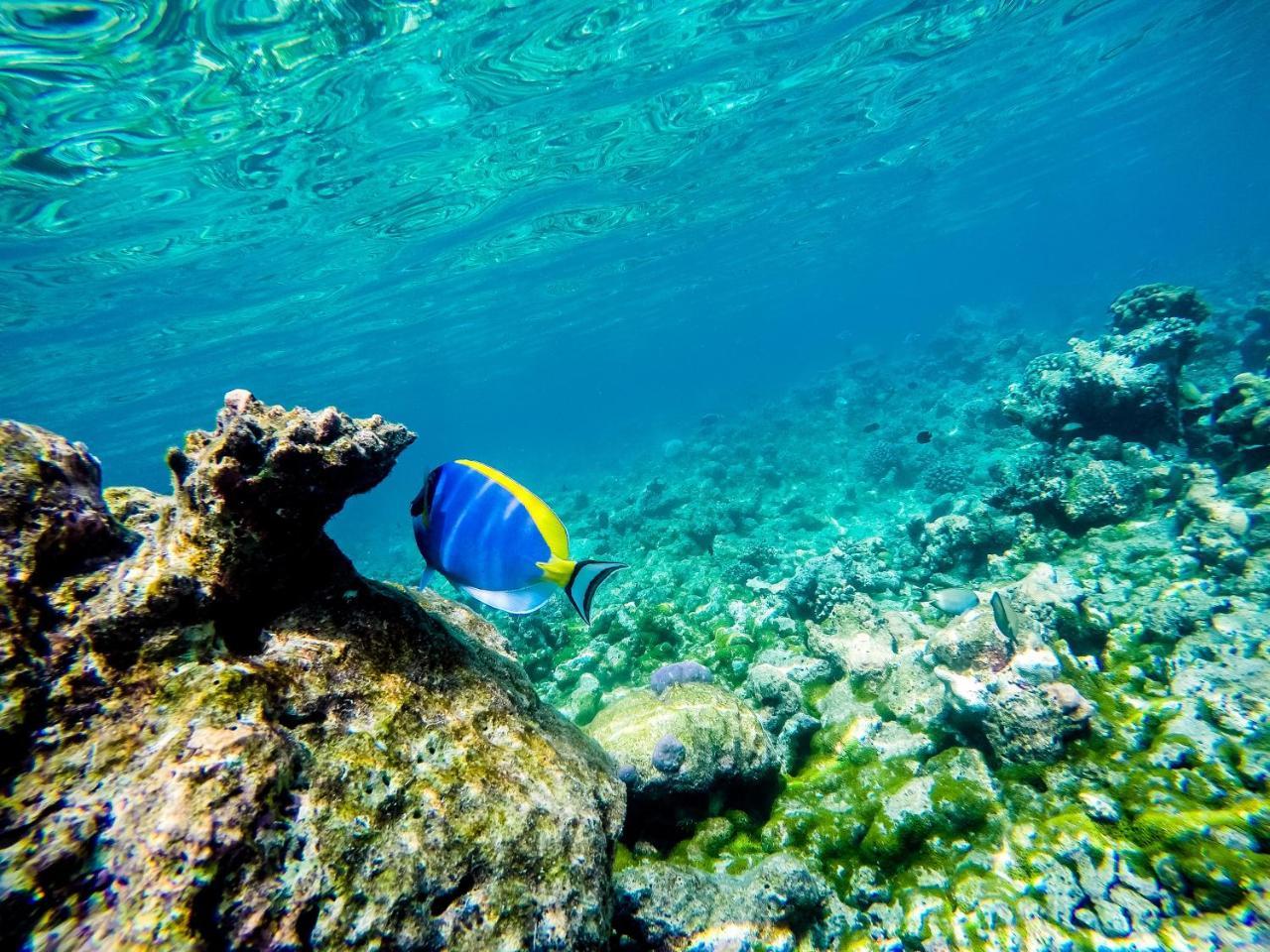 Old Town Inn Maldives Gaafaru Zewnętrze zdjęcie