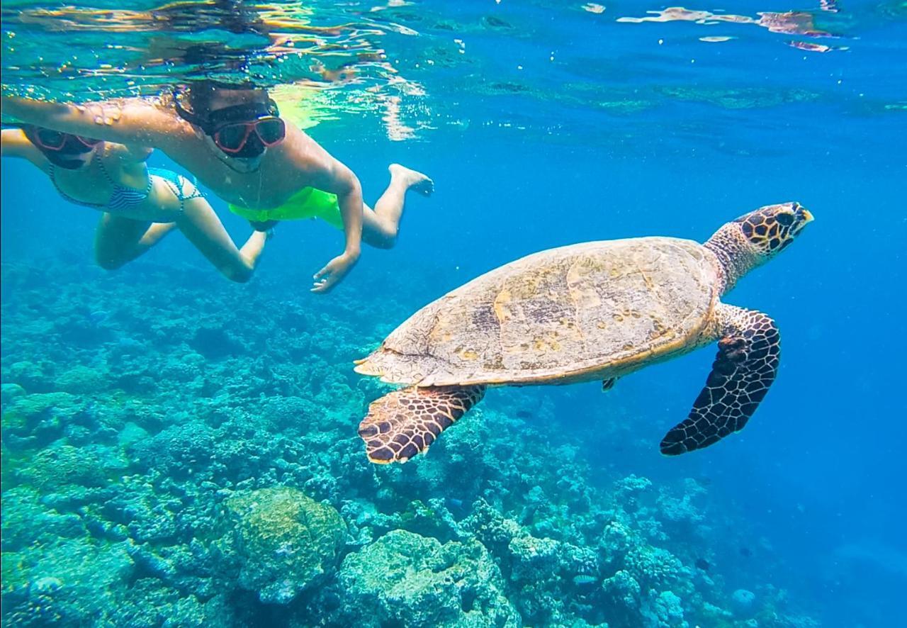 Old Town Inn Maldives Gaafaru Zewnętrze zdjęcie